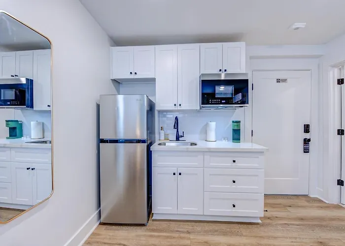 Roaring Tigers Studio Apartment